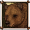 Bear's Head - Grizzly