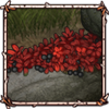 Alpine Bearberry [Red]