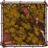 Desert Ironwood Tree [Autumn]