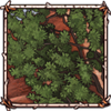 Desert Ironwood Tree [Green]