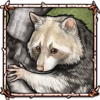 Piebald Raccoon