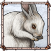 Snowshoe Hare