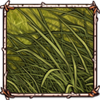 Tall Grass [Green]