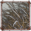 Tall Grass [Frosted]