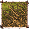 Tall Grass [Dry]