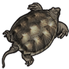 Legendary Catch - Common Snapping Turtle
