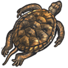 Legendary Catch - Western Pond Turtle