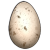 Turkey Egg