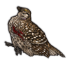 grouse.png