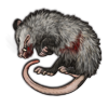 opossum.png
