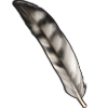 Gyrfalcon Feather