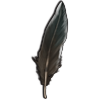 Roadrunner Feather