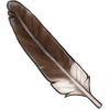 Skua Feather