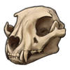 Ocelot Skull