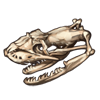 Python Skull