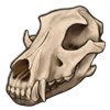 Wolf Skull